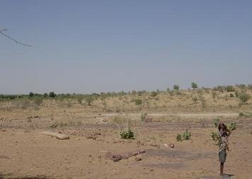 Food Security From Sustainable Agriculture, India