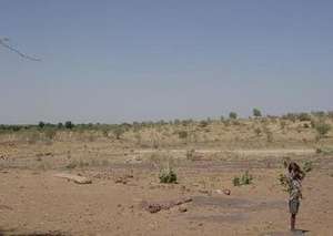 Barren Field