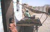Food Security From Sustainable Agriculture, India