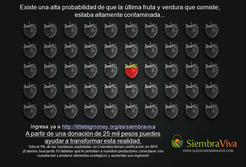 SiembraViva - Help Farmers Increase Their Income