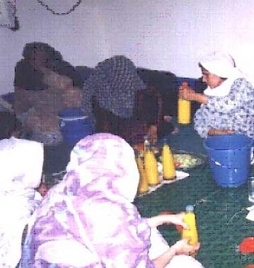 Interest-free loans to 150 quake affected women