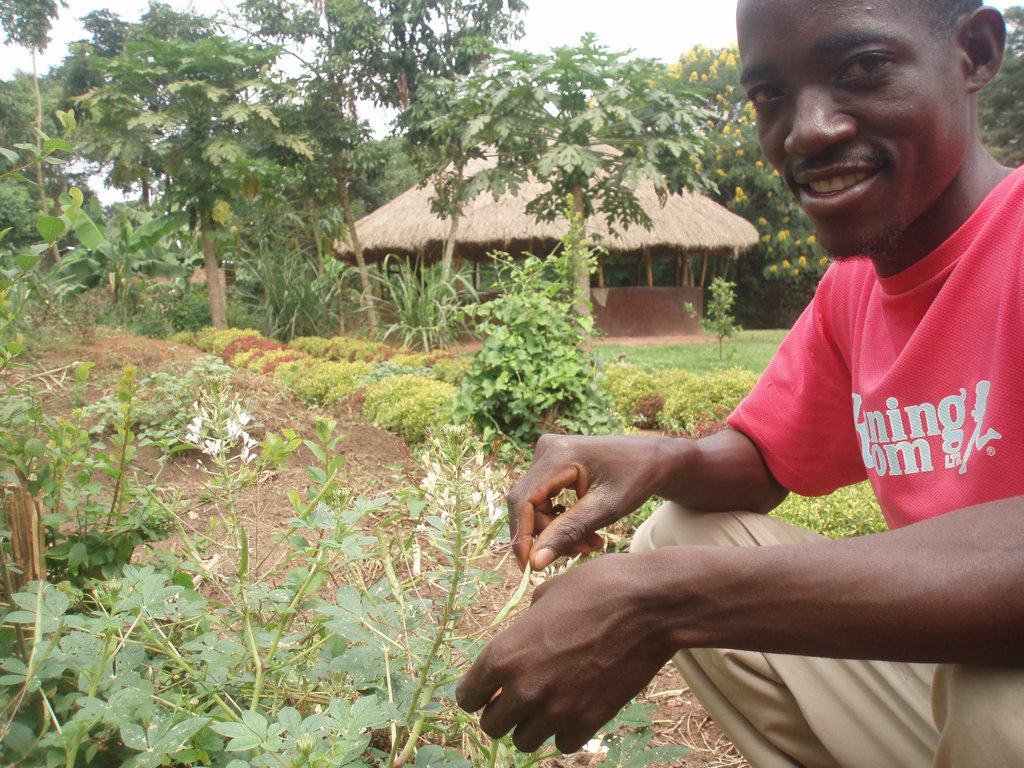 Community Garden