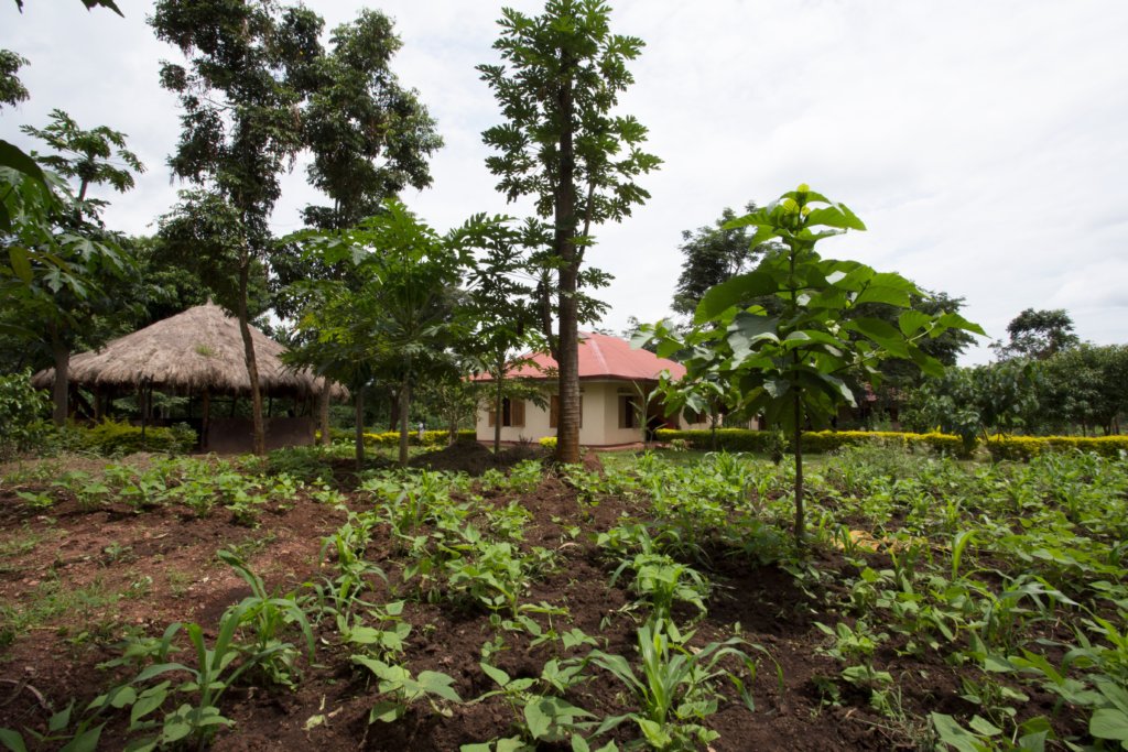 Community Garden