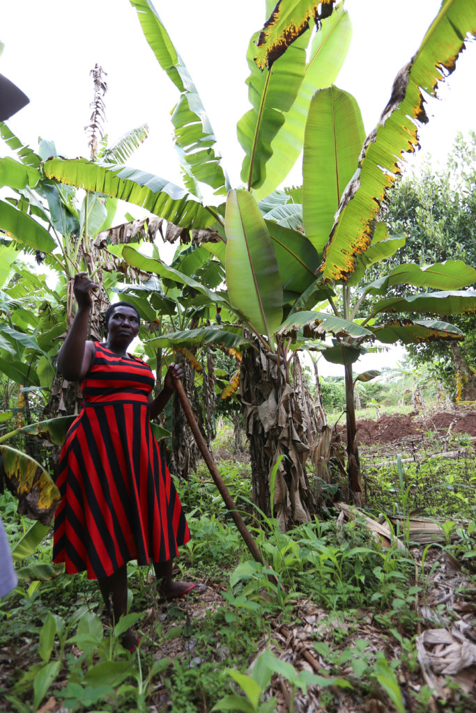 Community Garden