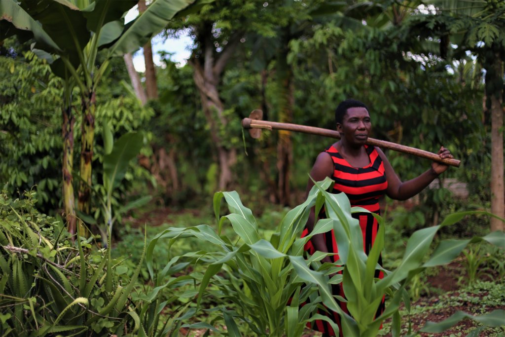 Community Garden