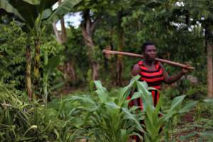 Community Garden