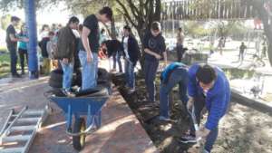 We planted trees that were donated to the park