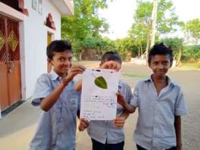 Nature connect project