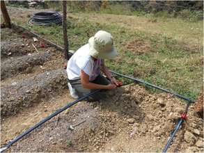 Installing a watering system