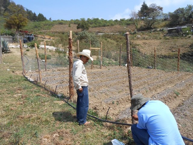 Installing a watering system