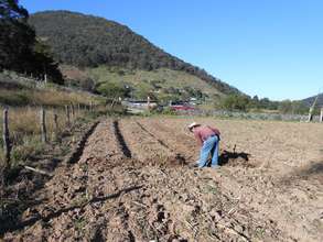Preparing a vegetable garden in Tonatico
