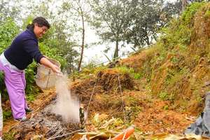 Woman applying minerals to her soil