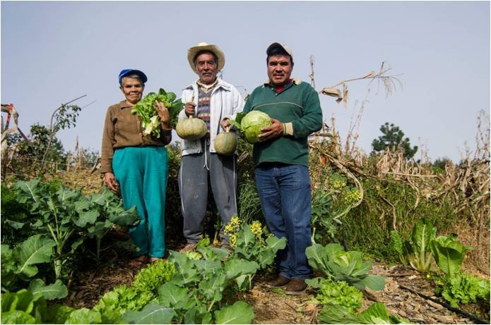 Vegetable gardens in the Sierra Gorda
