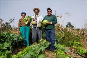 Family vegetable garden