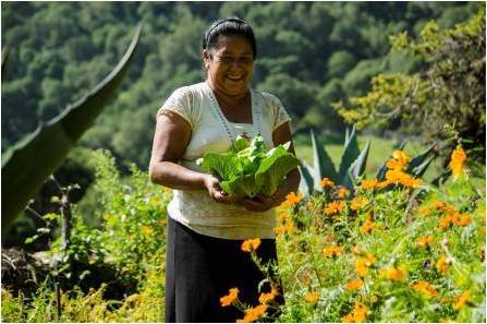 Vegetable gardens in the Sierra Gorda