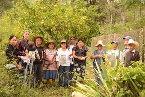 Community workshops