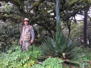 GESG in the field