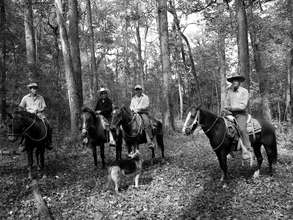 Surveillance trip on horseback