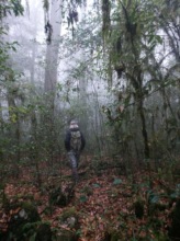 Tour in the cloud forest
