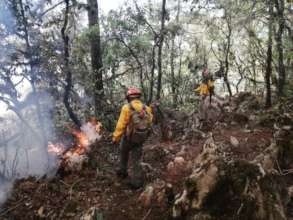 Puerto de La Yesca fire