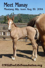 Meet Manay (means 'love')