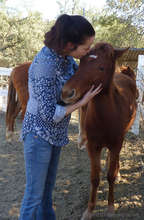 KaWachi, filly, (our little love bug)