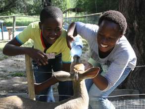 Feeding a Bushbuck!