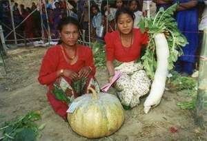 The products of their hard work.