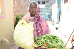Elderly Women Receiving Monthly Food Support