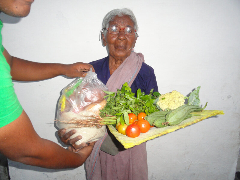 Monthly grocery assistance for elderly women