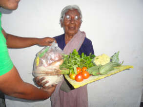 Monthly grocery assistance for elderly women