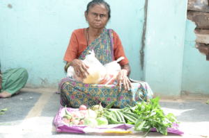 Poor senior citizen getting food provisions india