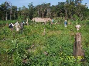 Slash & burn peanut farm