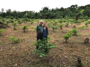 Among young trees in a restoration site