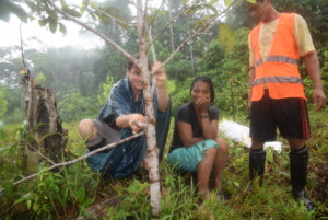 Pruning in the rain