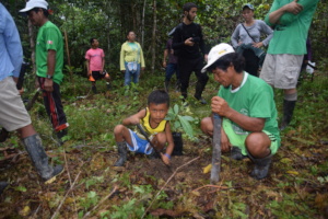 Planting rosewood trees