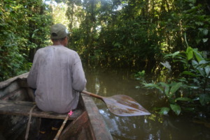 Moving through the backwaters of the Yabasyacu