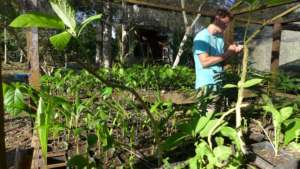 Registering each species in the nursery
