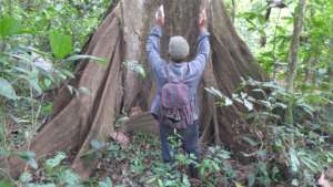 Piher Maceda, tree whisperer.