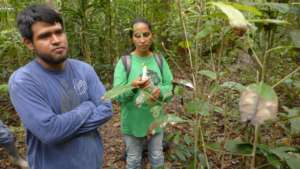 Manuel Huinga and Olivia Revilla take a specimen