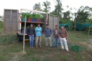 tree seedlings heading out from the nursery