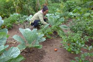 CV researcher Olivia Revilla in the veggie garden