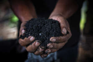Dirty hands are healthy hands.