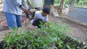 Juan Rafaele working at our first nursery