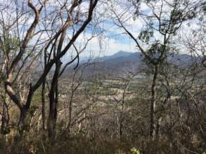 The land of Palo Santo