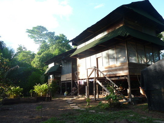 1000 trees a year 1000 acres of rainforest forever