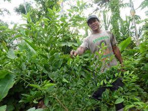 One of our partner farmers showing off a tree