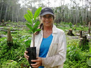 A volunteer preparing to plant a tree