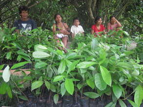 Tree seedlings ready to be planted in Brillo Nuevo