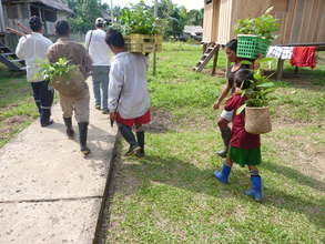 Carrying seedlings to the reforestation site